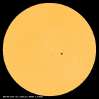 SDO/HMI Continuum Image of the Sun